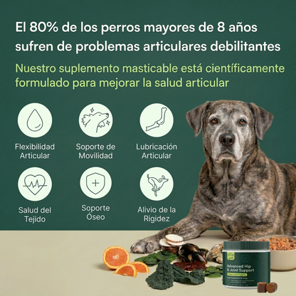 Masticables para soporte articular