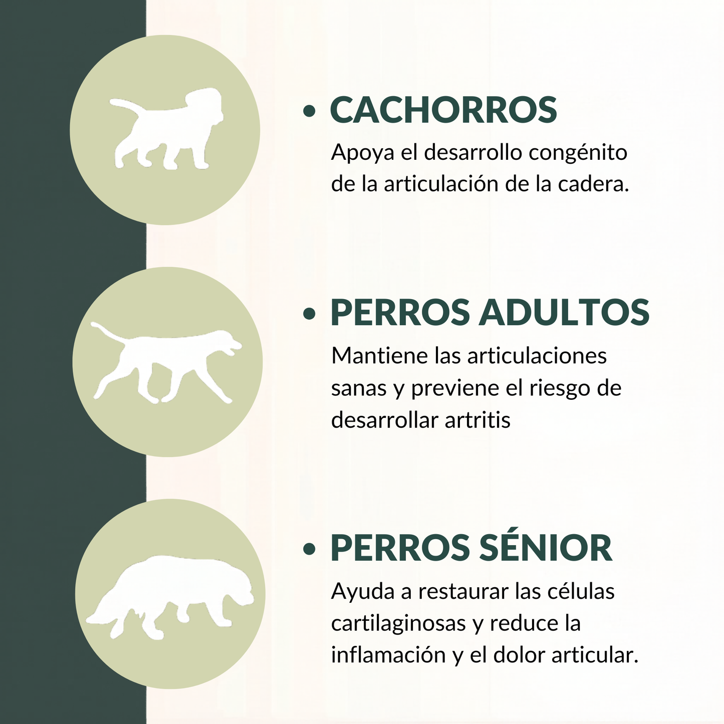 Masticables para soporte articular