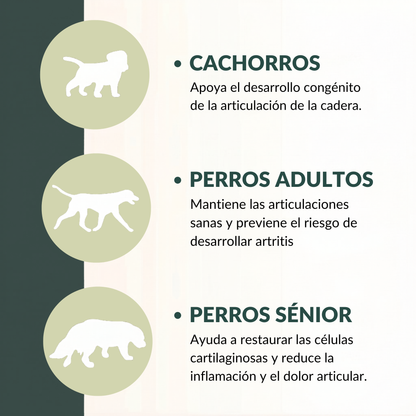 Masticables para soporte articular